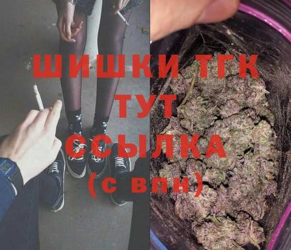 сатива Лабытнанги
