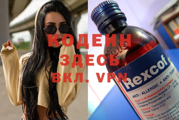 сатива Ладушкин