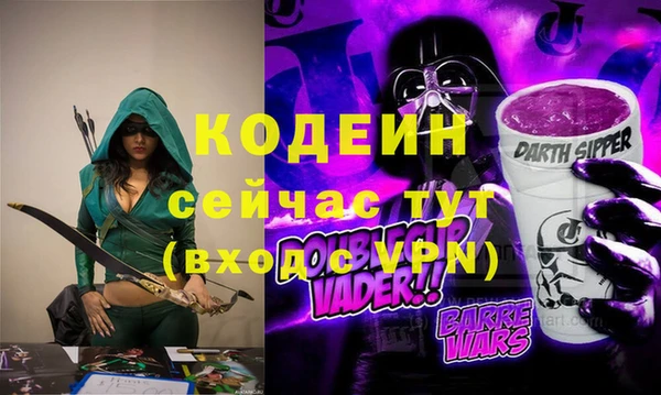 сатива Лабытнанги