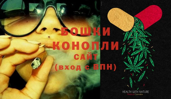 сатива Лабытнанги