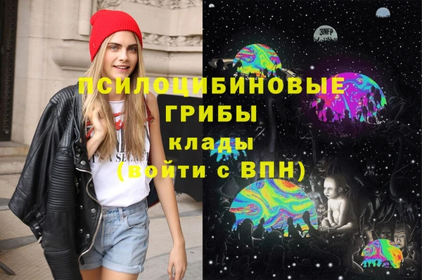 2c-b Лагань