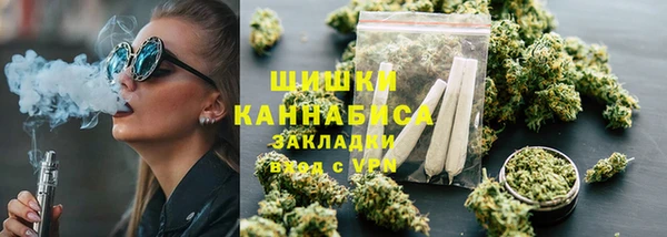 сатива Лабытнанги