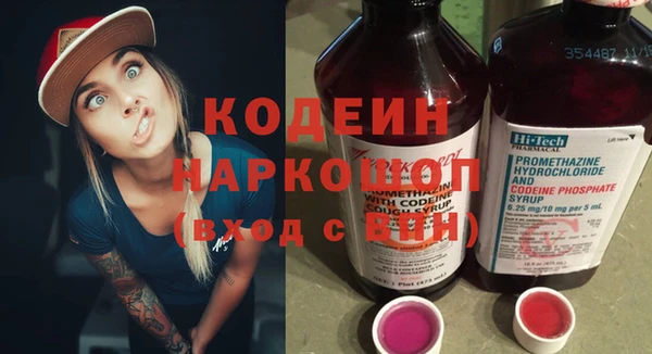 сатива Лабытнанги