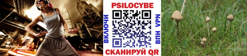 Псилоцибиновые грибы Cubensis  Чулым 